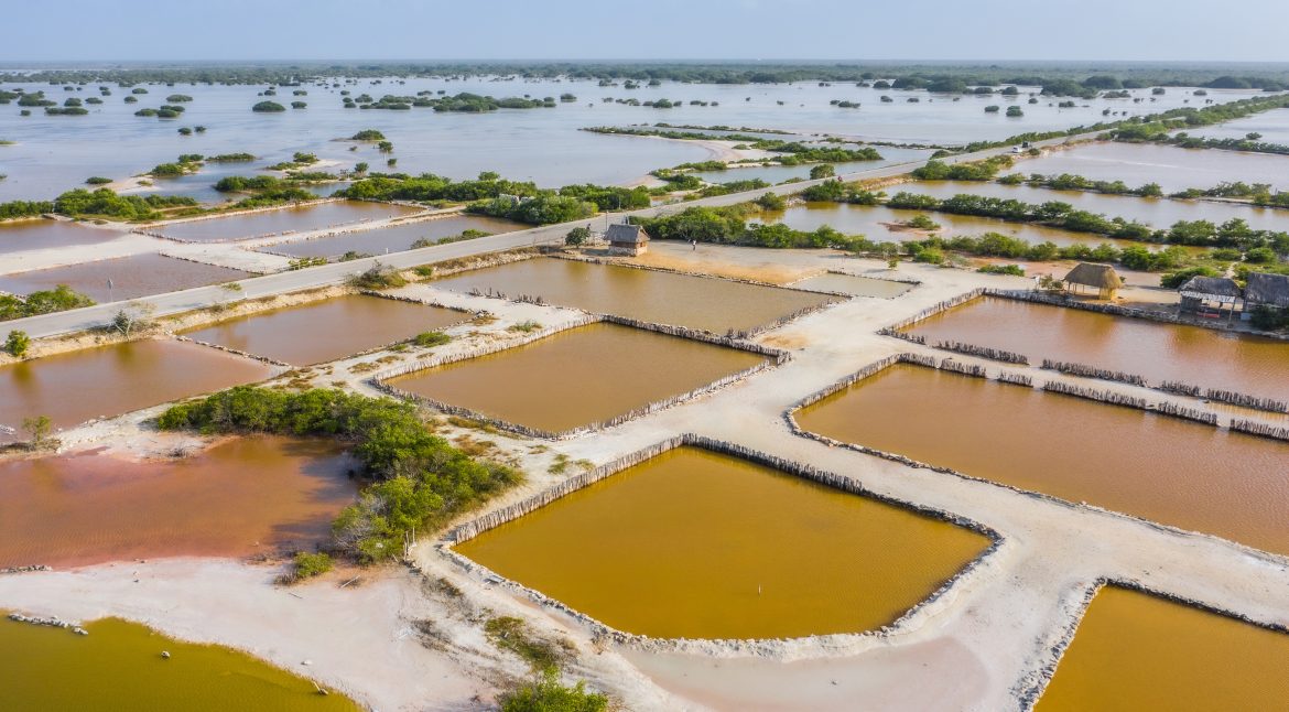 The salt ponds near Rio Lagartos, Yucatan, Mexico