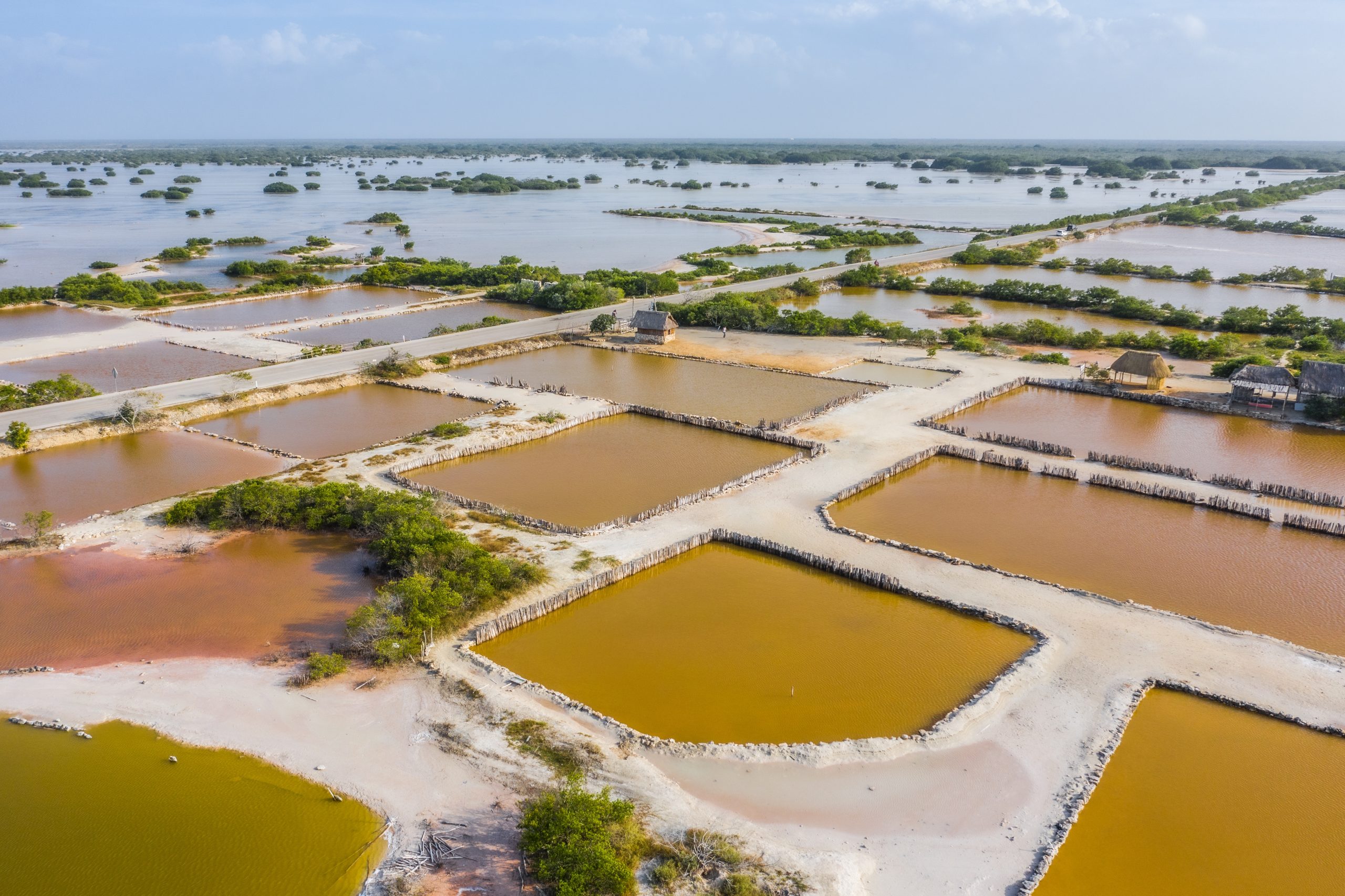 The salt ponds near Rio Lagartos, Yucatan, Mexico