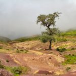 Réalisation de quatre études d’impact environnemental et social (EIES)
